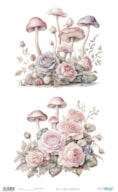 RICE PAPER 54X33CM BLUSHROOMS VII PFY-15138