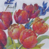 EMB. 20 GUARDANAPOS 33x33CM TULIPS OF JOY