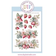 TRANSFER DTF-088P 14.28X19CM MORANGOS