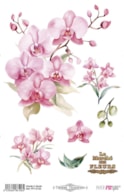 THERMO TRANSFERS 20X30CM PINK ORCHIDS PFY-16106