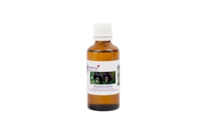 ESSENCIA 100ML ORQUIDEA NEGRA