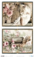 PAPEL ARROZ 54X33CM FARM & FLOWERS X  PFY-16051