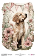 THERMO TRANSFERS 20X30CM FARM & FLOWERS DOGS PFY-16114