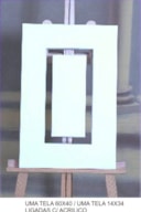 1 TELA 60x40 e 1 TELA 14x34 ligadas c/inox