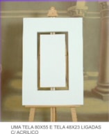 1 TELA 80x55 e 1 TELA 48x23 ligadas c/inox