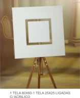 1 TELA 60x60 - 1 TELA 25x25 ligadas c/inox